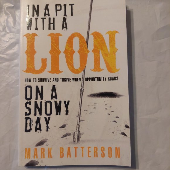 In a Pit with a Lion on a snowy day - Picture 1 of 5